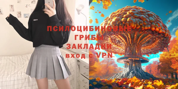 герыч Пестово