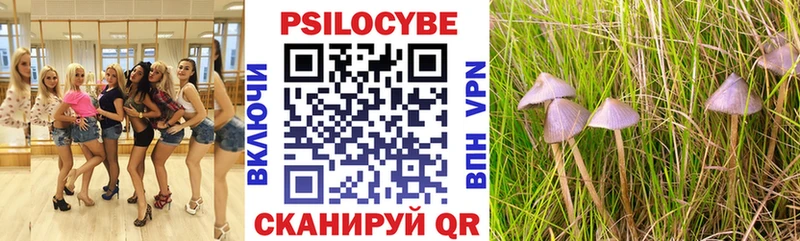 Галлюциногенные грибы Cubensis  Жердевка 